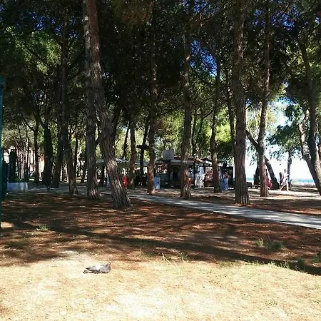 Aurea * Formia