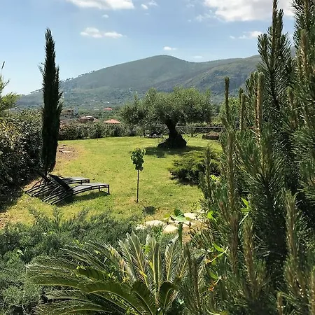 Aurea * Formia